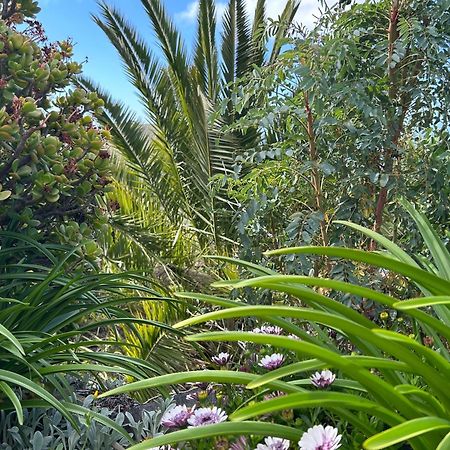 Casa Buenavida Villa Alajeró Eksteriør bilde