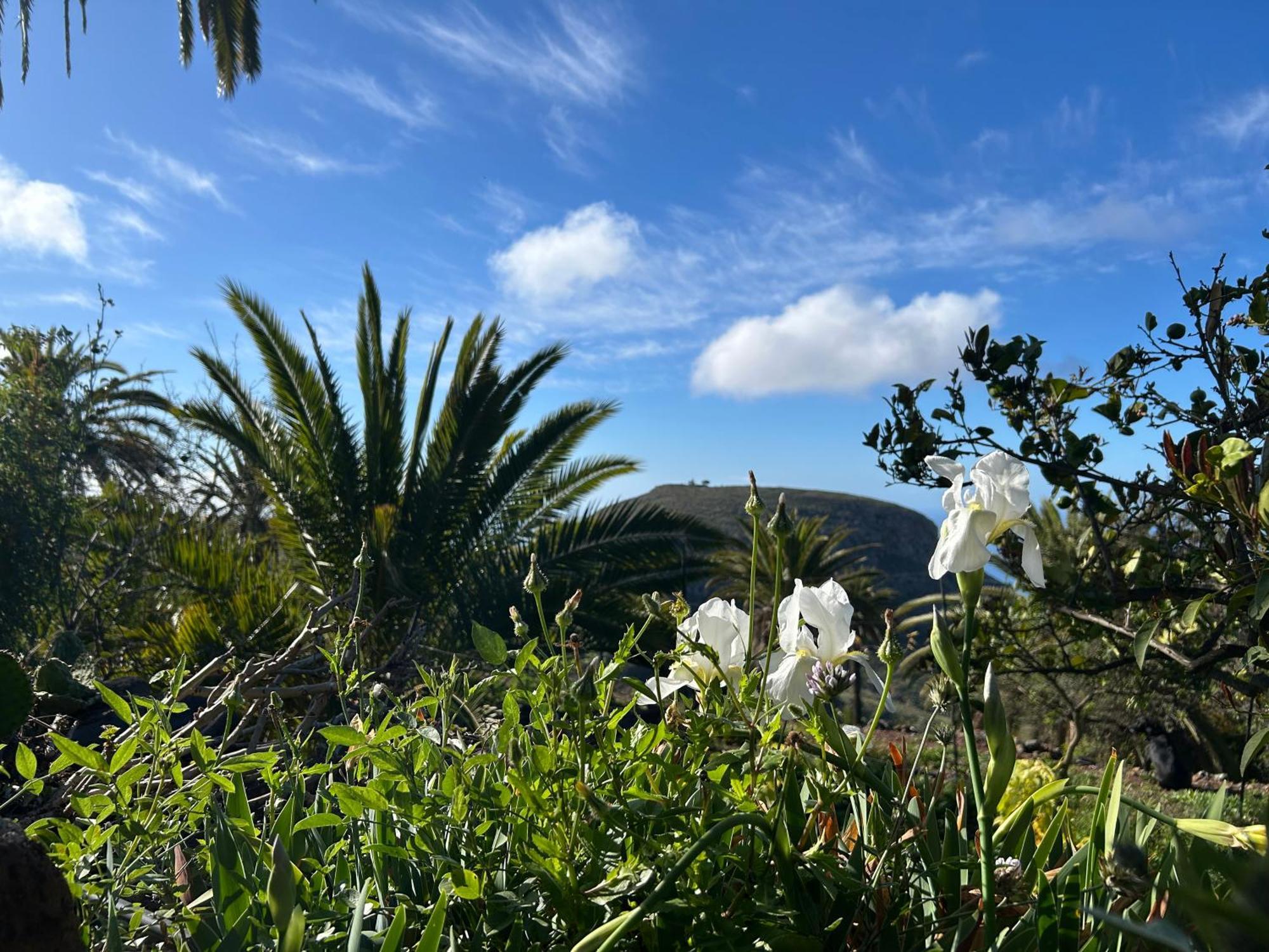 Casa Buenavida Villa Alajeró Eksteriør bilde